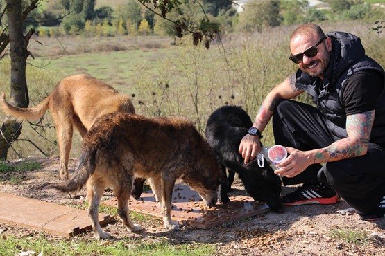 Ünlü oyuncu Tevfik Erman Kutlu, sahiplendiği 10 sokak hayvanı için seferber oldu.